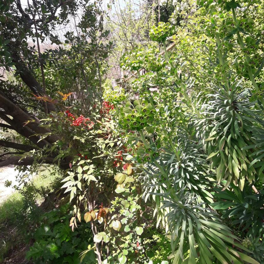 Fattoria Didattica Gli Allori Holiday home Perugia