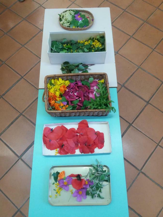 Fattoria Didattica Gli Allori Holiday home