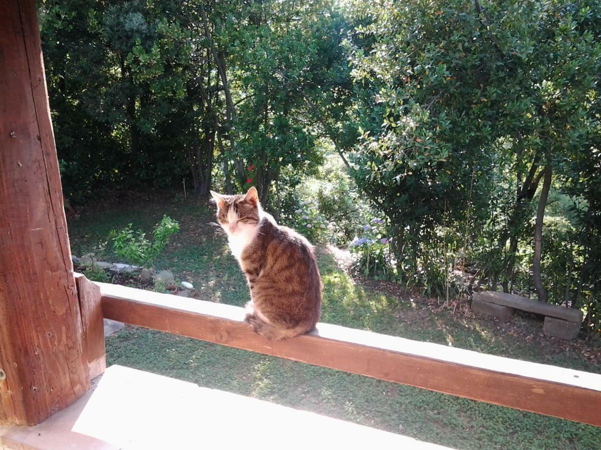 Holiday home Fattoria Didattica Gli Allori *