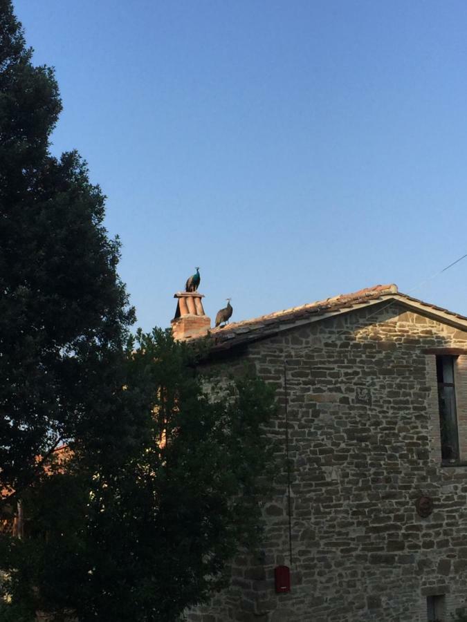 Holiday home Fattoria Didattica Gli Allori